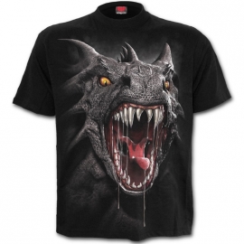 T-shirt Spiral Direct Roar of the Dragon - Spiral Direct T066M121