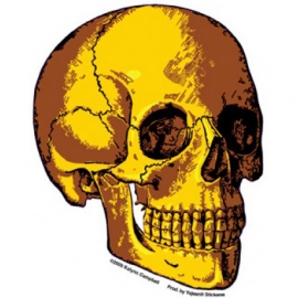 Sticker Gold Skull