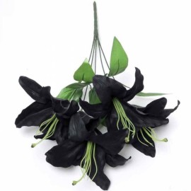 Bouquet de 5 Lys Noirs alchemy gothic