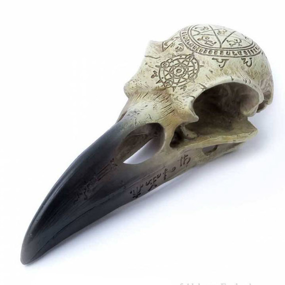 Omega Raven Skull / Figurines de Crânes