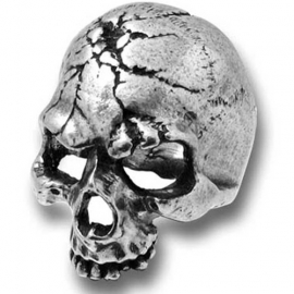 bague gothique alchemy gothic ruination skull