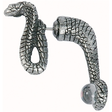 Boucle d'Oreille Traversante 