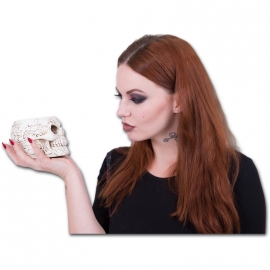 Bougeoir Spiral Direct Goth Skull Lavande