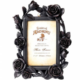 Cadre Photo Alchemy Gothic SA17 Rose & Vine