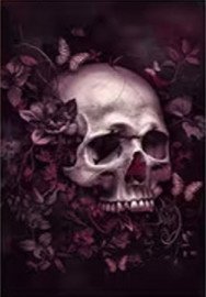 Carte postale Gothique - Skull n' Flowers #5