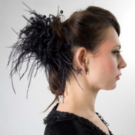 chignon gothique