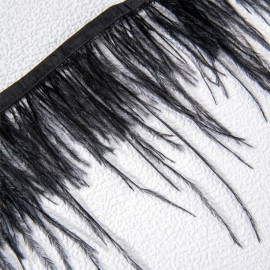 Collier Gothique Black Feathers