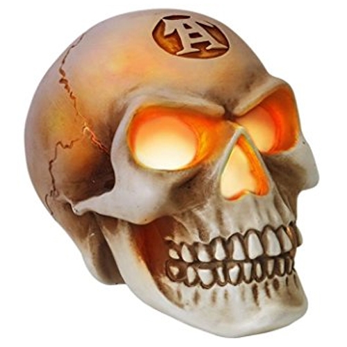 Crâne Alchemy GothicLED / Meilleures ventes