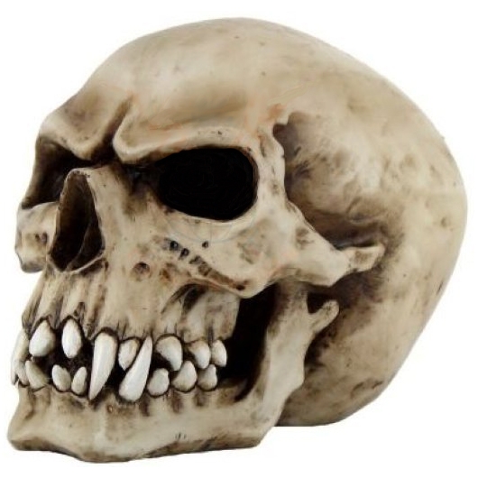 Crâne d'Orc / Figurines de Monstres