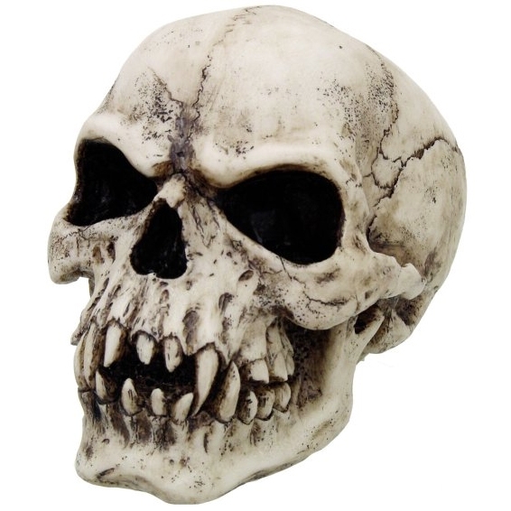 Crâne de Vampire / Meilleures ventes