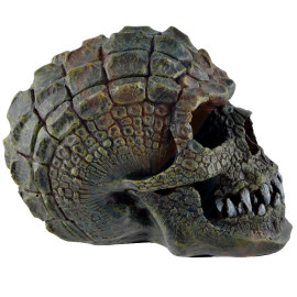 Figurine Crâne Gatorhead Skull