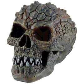 Figurine Crâne Gatorhead Skull