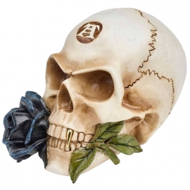 Figurine Alchemy Gothic Alchemist Skull with Rose