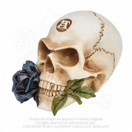 Figurine Alchemy Gothic Alchemist Skull with Rose