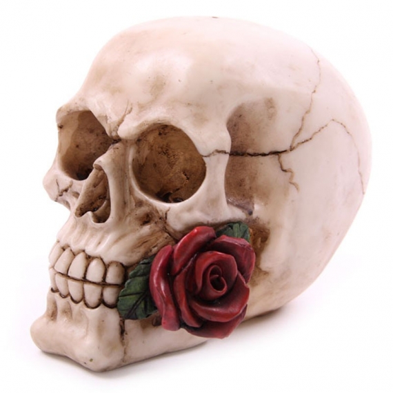 Crâne avec rose rouge / Meilleures ventes