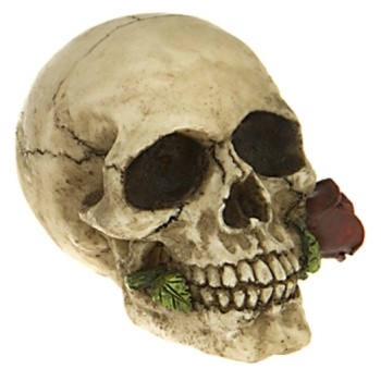 Crâne avec rose rouge / Meilleures ventes