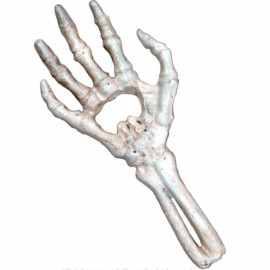 Ouvre bouteille alchemy gothic White Skeletal - Alchemy Gothic SBO1