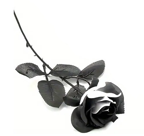 Rose Noire et Blanche artificielle / Nouveautés