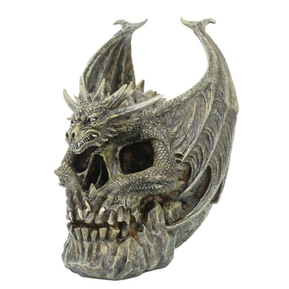 Draco Dragon Skull / Figurines de Crânes